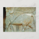 Search for anthropomorphics postcards Animal