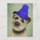 Search for border postcards Animals