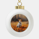 Search for fall decorating christmas tree decorations Pet