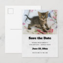 Search for cat pictures invitations Pet photo