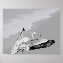 Search for black and white tropical posters Monochrome