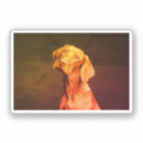 Search for vizsla dog stickers Magyar