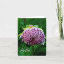 Search for the state flower cards Photography