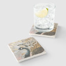 Search for peacock coasters Gold