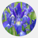 Search for blue iris flower stickers Garden