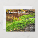 Search for bark postcards Fall