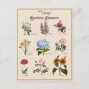 Search for victorian floral postcards Botanical