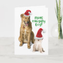 Search for fleas christmas cards Funny