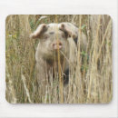Search for spotty mousepads Animals