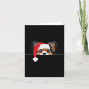 Search for papillon christmas cards Santa