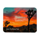 Search for joshua tree magnets National