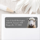 Search for lambs return address labels Farm animals