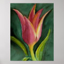 Search for blazing art Colorful
