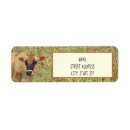 Search for dairy farm return address labels Farmer