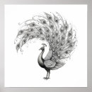 Search for white peacock art Modern