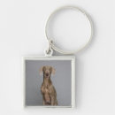 Search for weimaraner key rings Vertical