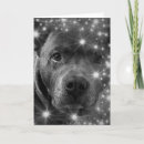 Search for grey dog cards Pet