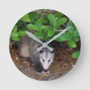 Search for office photography decor Nature