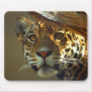 Search for wild one mousepads Colour image