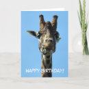 Search for funny giraffe cards Giraffes