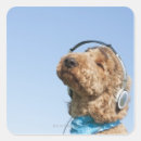 Search for body image stickers Animal body part