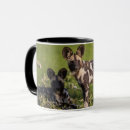 Search for african wild mugs Animals