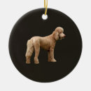 Search for apricot poodle christmas tree decorations Pet