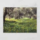 Search for olive grove Landscape