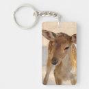 Search for cute deer key rings Woodland animal