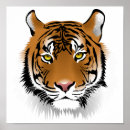 Search for tiger drawing posters Cat