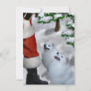 Search for american eskimo christmas cards Dogs