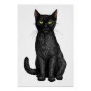 Search for black cat posters Kitten