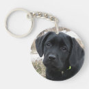 Search for black labrador key rings Puppy