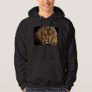 Search for aslan Christian