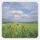 Search for tuscany stickers Italian