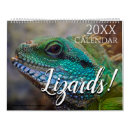 Search for gecko calendars Iguana