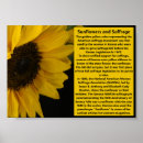 Search for 19th amendment posters Rights