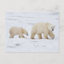 Search for canadian winter postcards Superstock