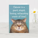 Search for funny stupid cards Cat