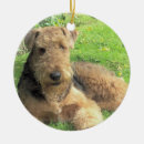 Search for airedale terrier christmas tree decorations Terriers