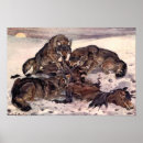 Search for coyotes posters Predators