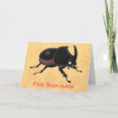 Search for beetles cards Insect