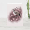 Search for partridge christmas cards Xmas