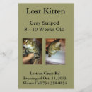 Search for lost flyers Cat
