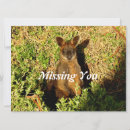 Search for marsupial cards Wallaby