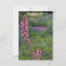 Search for perennials Floral