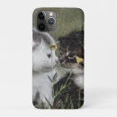 Search for livestock iphone cases Cute