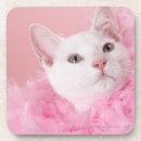 Search for feather coasters Cat