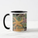 Search for sea anemone mugs Stuart westmorland