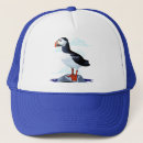 Search for puffin hats Cute